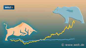 So sehen die Depots unserer WELT-Finanzexperten aus