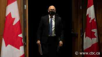 Liberals to introduce bill to enshrine UN Indigenous rights declaration into law