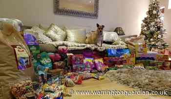 Drone firm Networx3 donates supplies to Cheshire Dogs' Home - Warrington Guardian