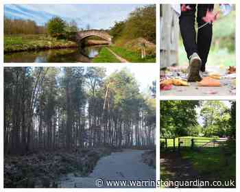 Five of the best autumnal walking routes near Warrington - Warrington Guardian