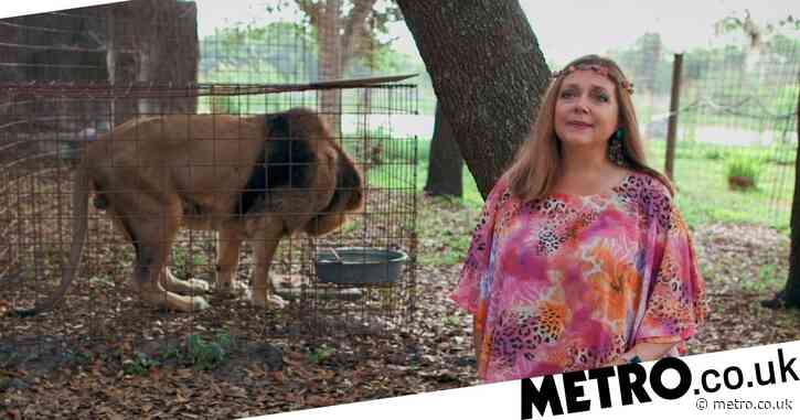 Staffer ‘bitten by animal’ at Tiger King star Carole Baskin’s Big Cat Rescue