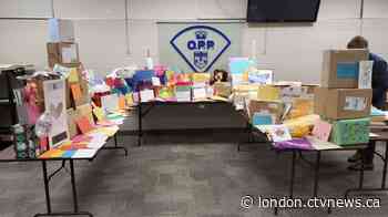 'It chokes me up': OPP collect hundreds of birthday cards for 11-year-old Ontario girl battling cancer