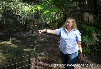 Volunteer bitten by tiger at Carole Baskin's Big Cat Rescue