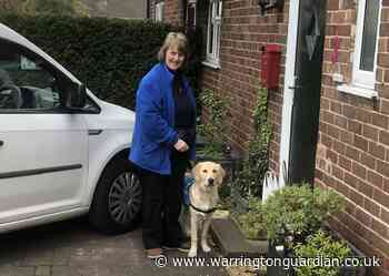 Croft guide dog puppy stars in Christmas charity campaign