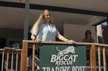 Tiger ‘nearly tore arm off’ volunteer at Carole Baskin’s Big Cat Rescue