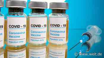 Warum die EU für die Impfstoffzulassung so lange braucht