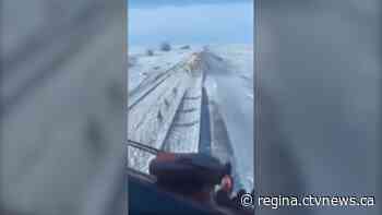 CP investigating after video shows train running over pronghorn antelope herd