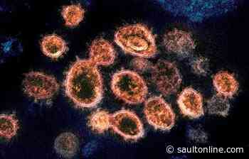 Sudbury beauty bar source of COVID-19 outbreak