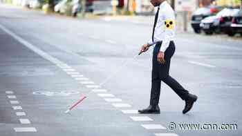 Experimental brain implants in monkeys offer hope for restoring vision in blind people