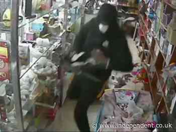 Video shows armed thieves rob NYC bodega with 6-year-old girl inside