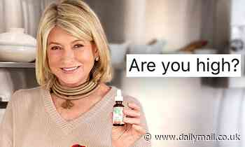 Martha Stewart hilariously roasts Instagram follower as she plugs her CBD products: 'Are you high?'