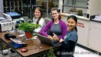 'Some of it gets into the air': Saskatoon researcher explores potential risks posed by some disinfectants