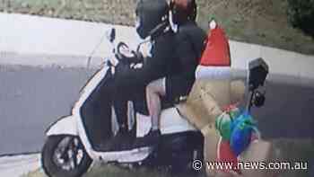Scooter grinches steal Christmas dog