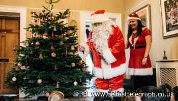 Sturdy and ‘lush’ Guinness-fed Christmas trees available in NI for first time ever