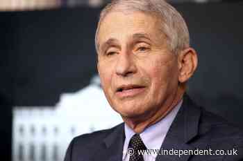 Fauci apologises for ‘misunderstanding’ after suggesting UK rushed Covid vaccine approval