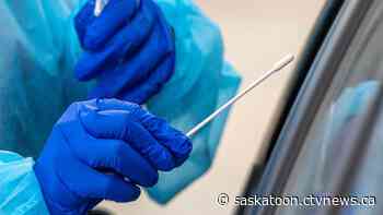 3 COVID-19 deaths and 1267 active cases reported in Saskatoon area - CTV News Saskatoon