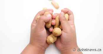 ‘Real world’ UBC study adds to research showing early exposure to peanuts fights allergy