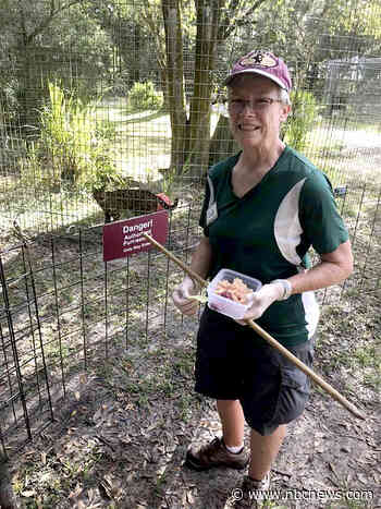 Volunteer's arm 'nearly tore' off during tiger attack at Carole Baskin's Big Cat Rescue