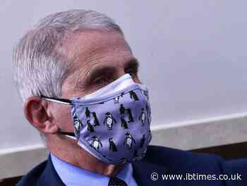 Britain 'rushed' Pfizer Covid vaccine approval: Fauci