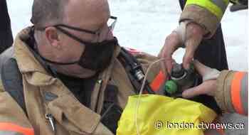 Firefighters save pup after south London townhouse fire - CTV News London