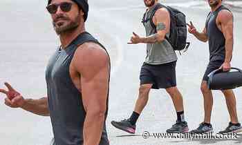 Zac Efron, 33, flaunts his VERY bulging biceps during a gym session South Australia