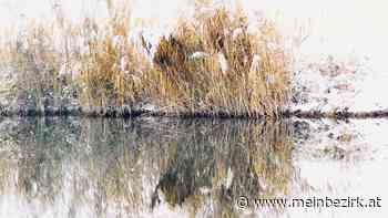 WINTER 2020: SCHNEEIMPRESSIONEN - Neunkirchen - meinbezirk.at