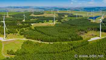 A 'vital step': Green economy reacts to the UK's new climate commitment