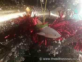 Show us your unusual Christmas decorations in Bolton