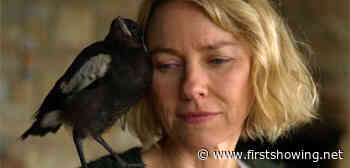 Naomi Watts Befriends a Baby Bird in First Trailer for 'Penguin Bloom'