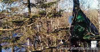 Protesters climb trees at Mississippi River crossing to block Enbridge pipeline construction