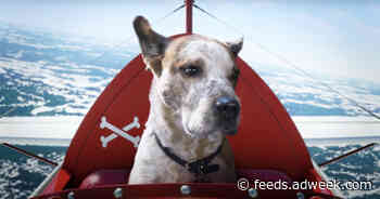 Rufus the Dog’s Tech Adventure; Satan and 2020 Discuss Their Relationship: Friday’s First Things First