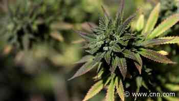 US House poised to pass bill decriminalizing marijuana at federal level