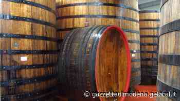 Modena, storia e cultura dell’oro nero balsamico: «Unico come lo spirito di noi modenesi» - La Gazzetta di Modena