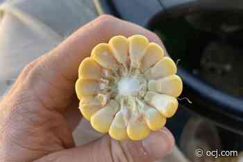 Next Generation Fuels Act introduced – Ohio Ag Net - Ohio's Country Journal and Ohio Ag Net