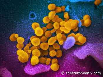 Mandatory masks in Saskatoon prevented greater surge, SHA doctor says