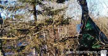 Indigenous groups stage first protests as Enbridge pipeline construction begins