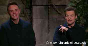 Ant & Dec tell kids to 'turn off' I'm A Celeb over x-rated gags