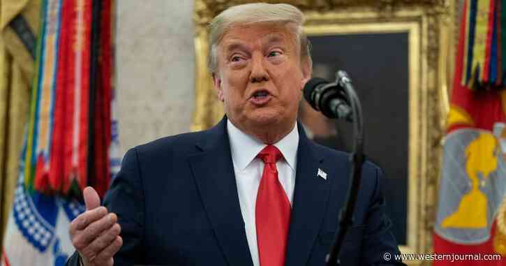 Trump Implicates US Agency, Claims the Service Tampered with ‘Hundreds of Thousands of Ballots’