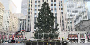 Here’s how you can safely visit the Rockefeller Center Christmas tree this year