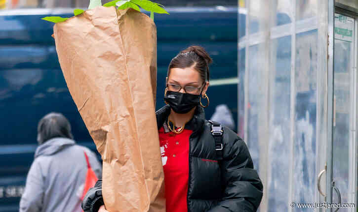 Bella Hadid Does the Heavy Lifting While Buying Plants in New York City