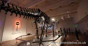 The dream North East job which comes with a £94,000 a year salary