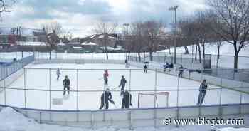 Shinny hockey is banned on Toronto's public rinks and people aren't happy - blogTO