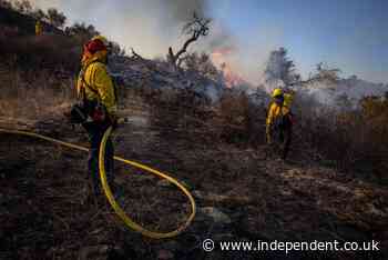 California wildfires: 1,000 firefighters battle to curb blazes as ‘less than third contained’