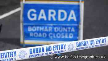 Garda seriously injured in hit-and-run on M1