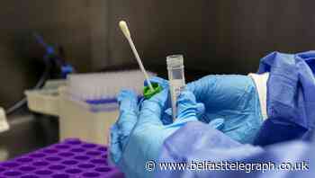 Further 13 Covid-19 deaths announced in Ireland