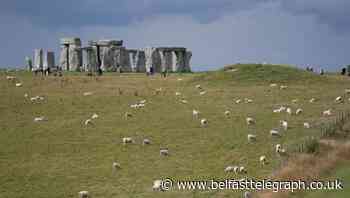 No arrests made at ‘mass trespass’ at Stonehenge, police confirm