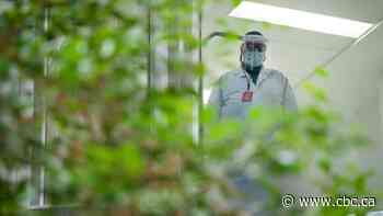 Quebec reports more than 2,000 new COVID-19 cases, 48 deaths, the latest uptick in surge