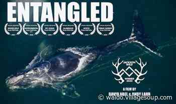 'Entangled' film screening, panel discussion presented online - Waldo VillageSoup - Republican Journal