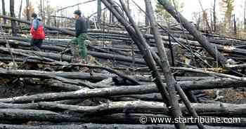 New index shows riskiest places for Minnesota's natural hazards
