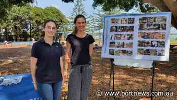 Community views sought before Town Green playground upgrade - Port Macquarie News